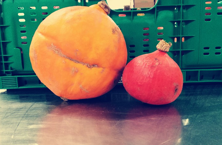 pumpkin difference