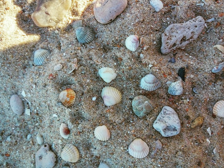 sand
