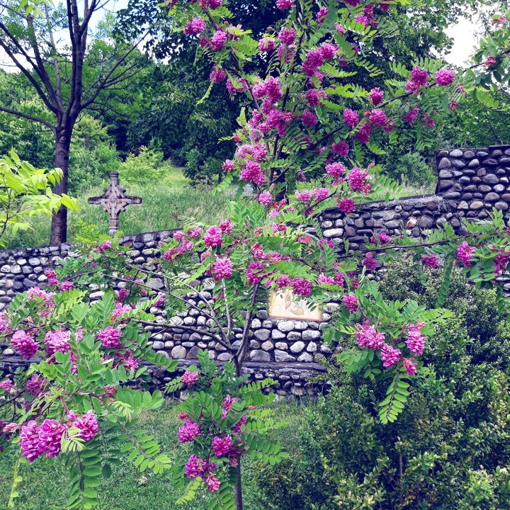 barsana
