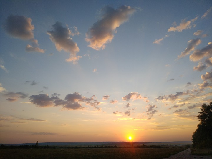 nature photography