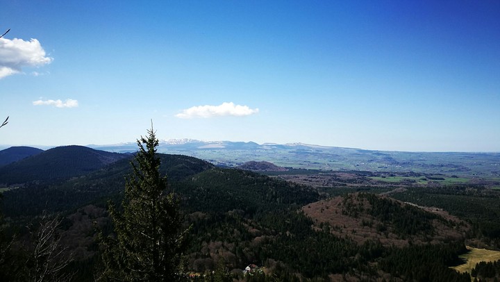 forêt