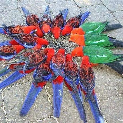 unity