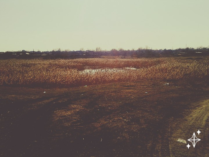 день