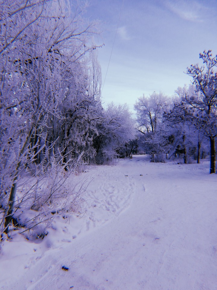 Winter