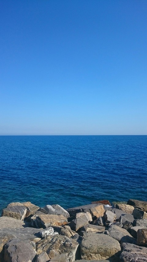 Wonderful ocean