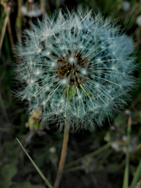 summer
