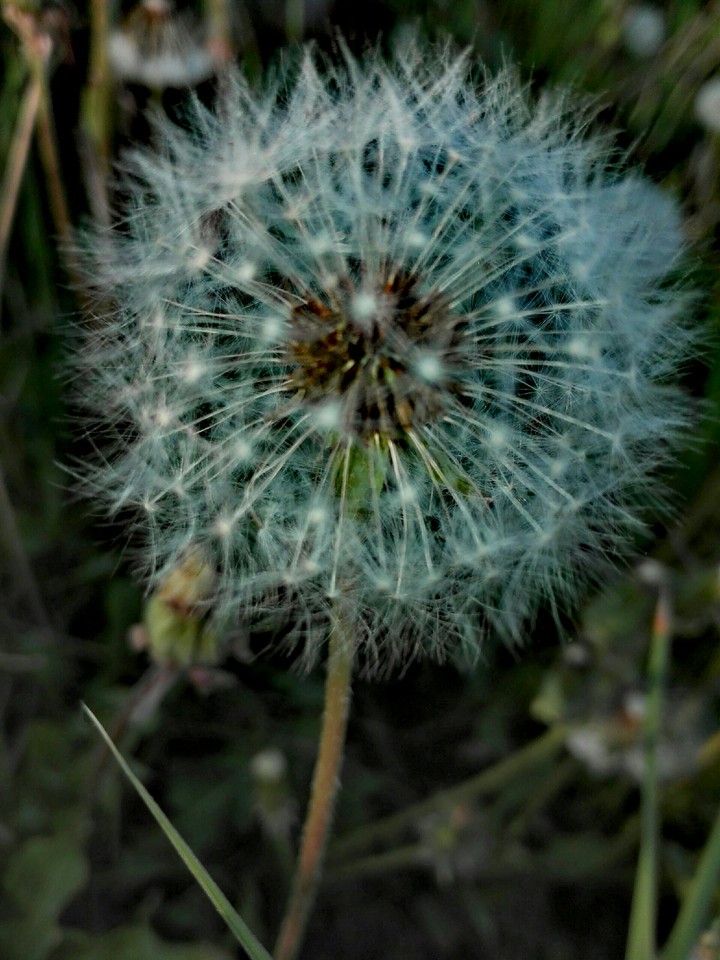 summer