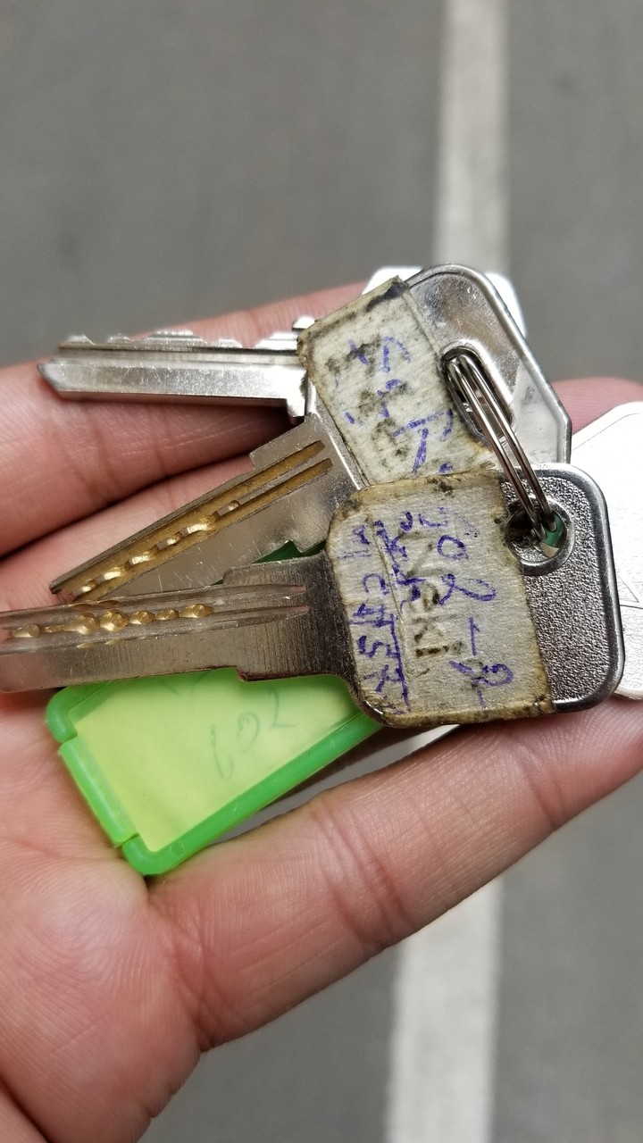 lost and found