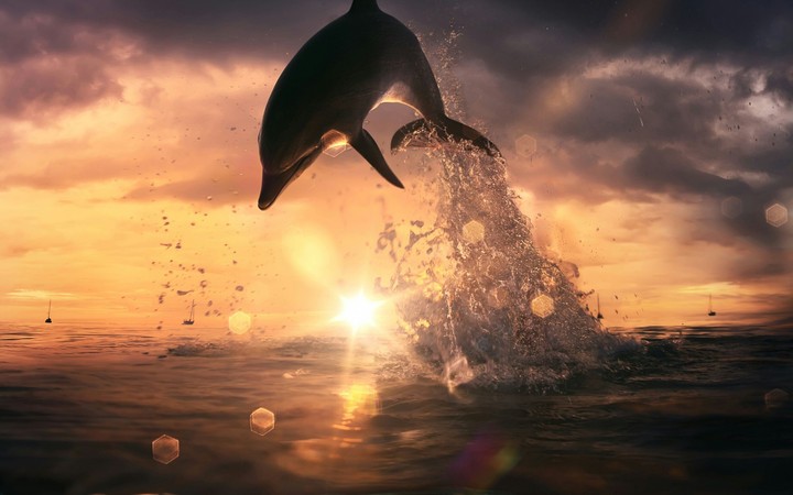 nice jump =-O