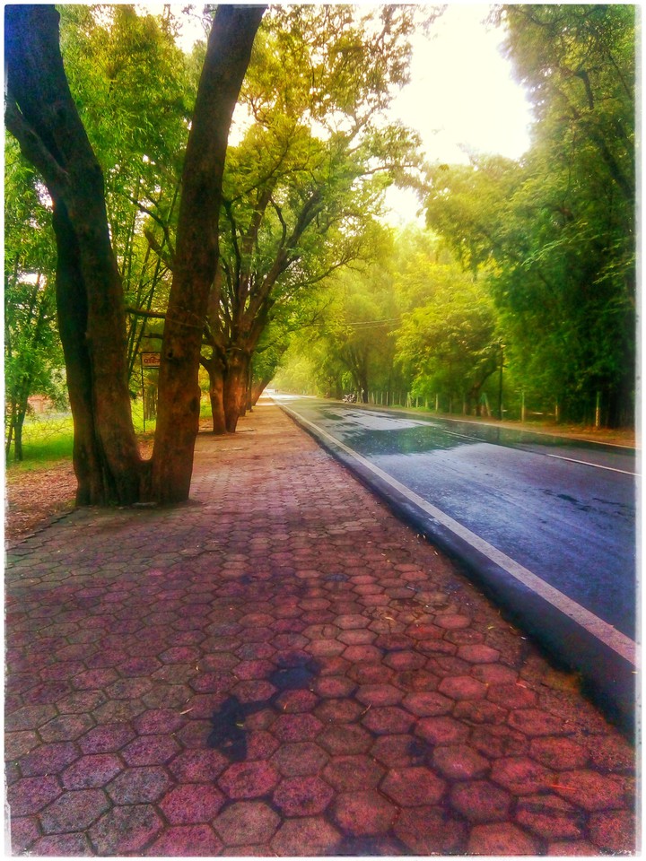 walkway