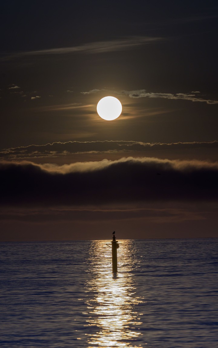moonlight