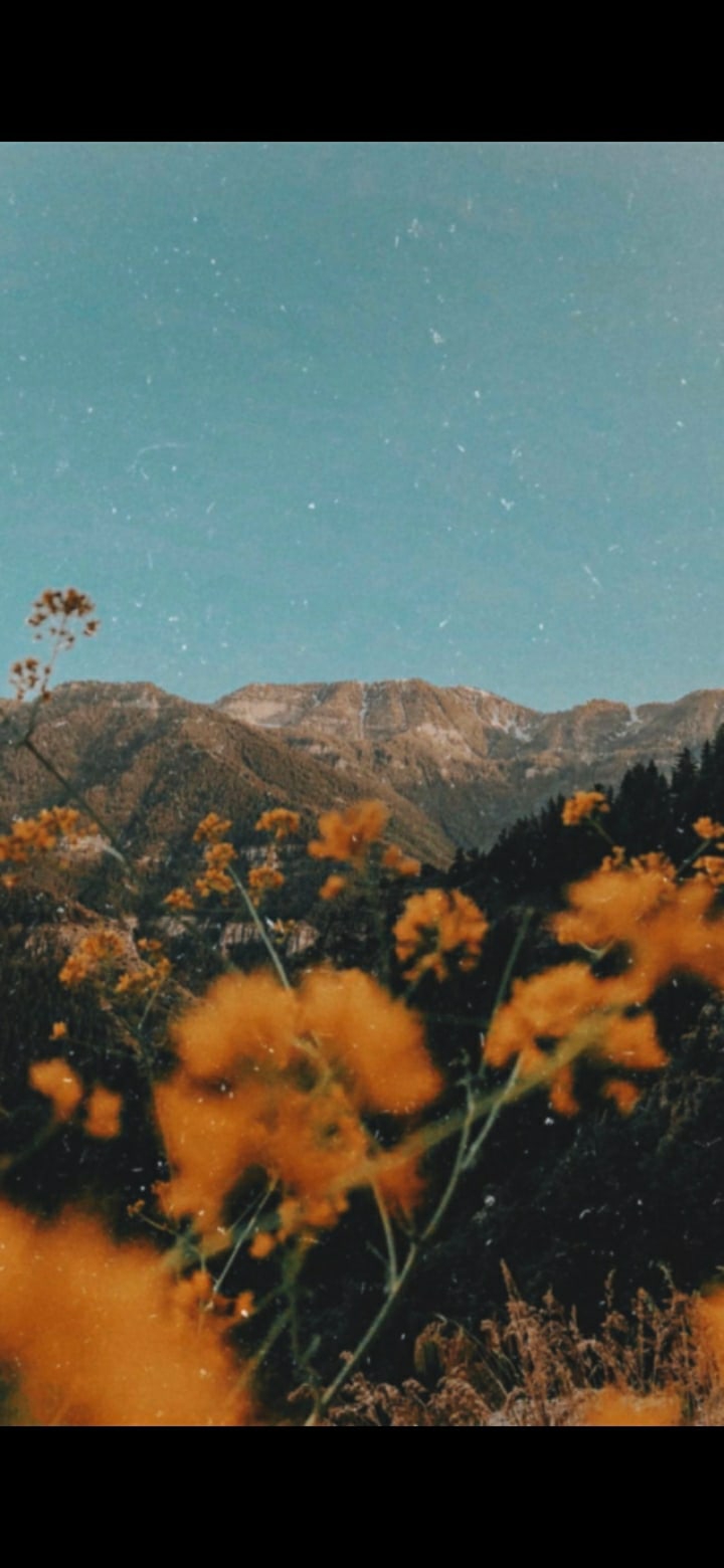 Flowers for life