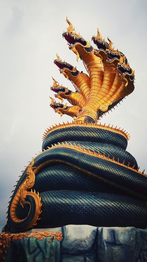 just believe in....Great Naga