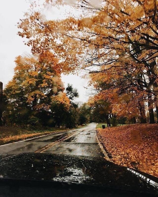 rainy road❤