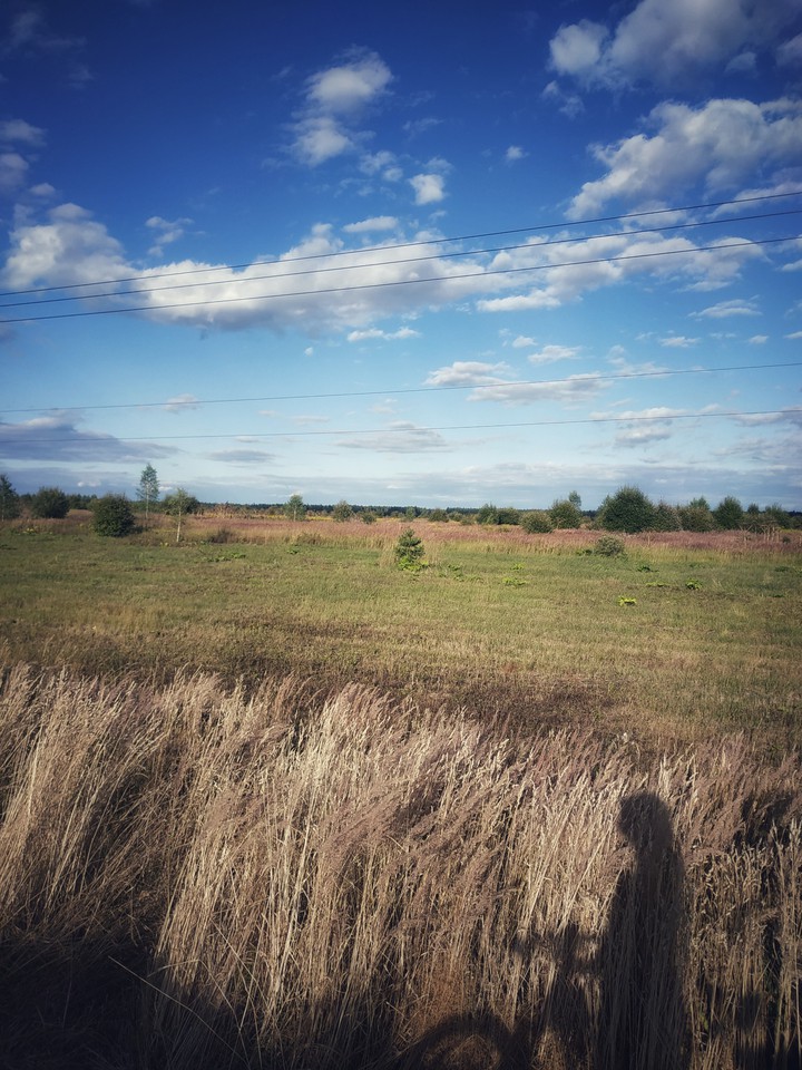 прогулка