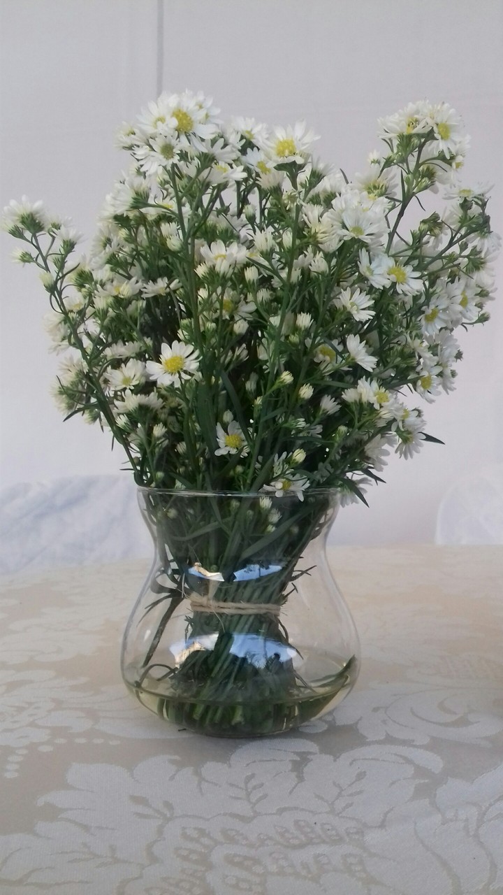 Flores