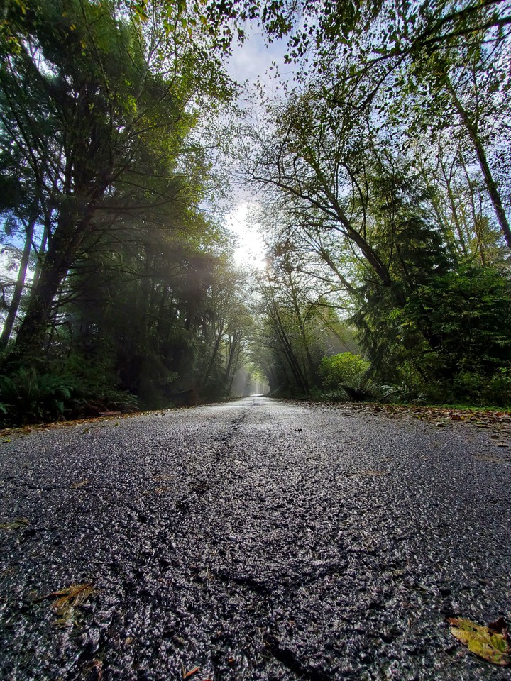 the road less traveled