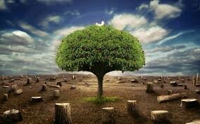 background picture