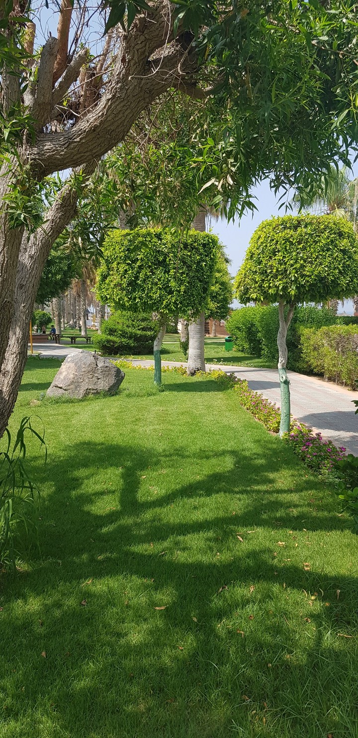 Sandy beach Hotel Resort Fujairah