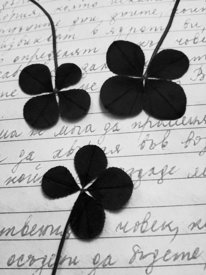 lucky 2