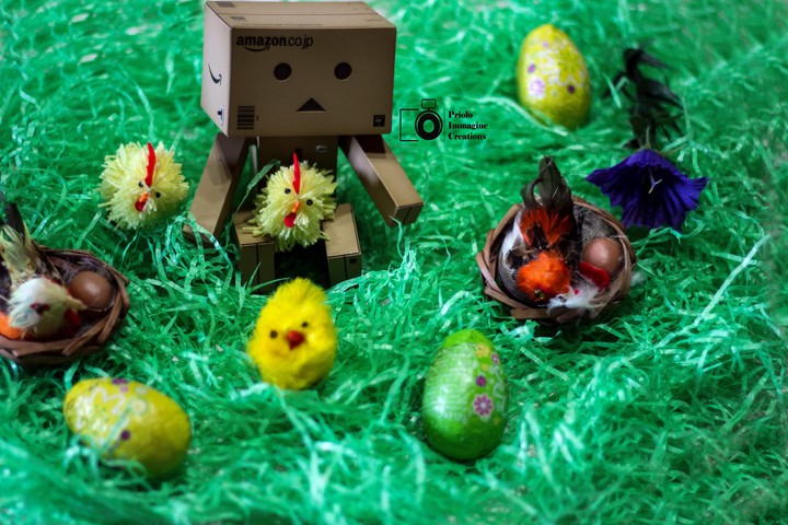 Danbo easter