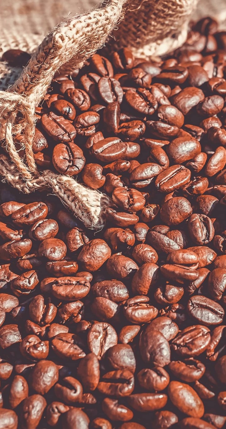 cofee beans