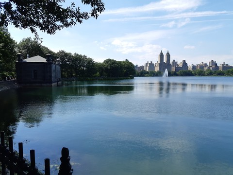 Central Park (New York)