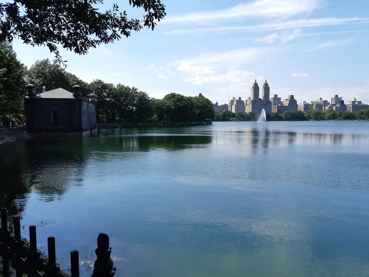 Central Park (New York)