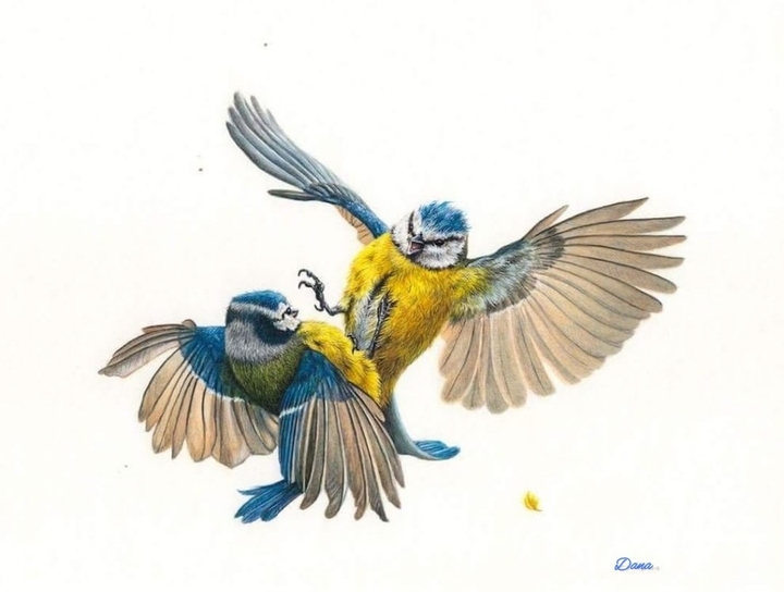 Fight