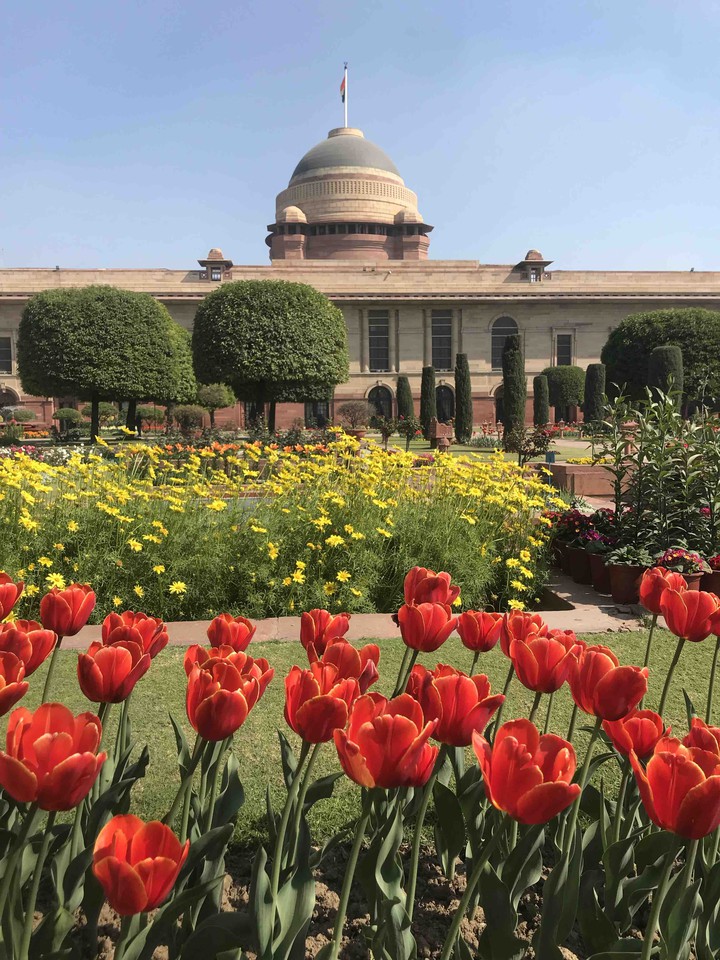 rashtapati bhavan