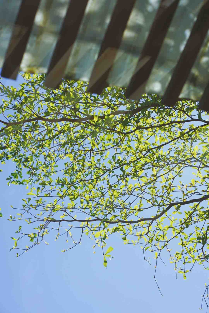 Greenary