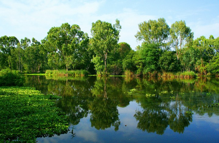 Reflection