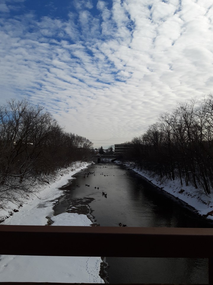 Winter Creek