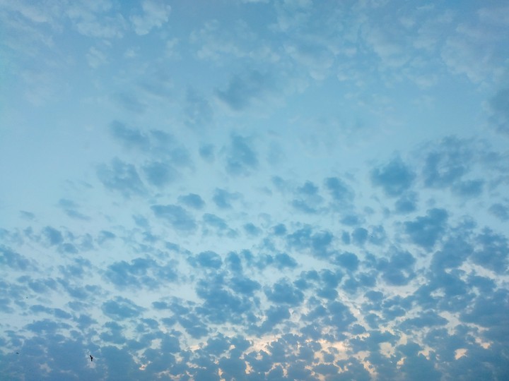 Skies