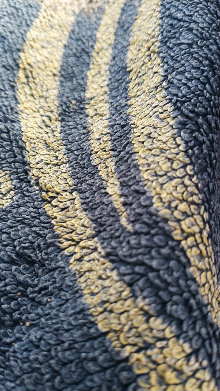 microscoPic