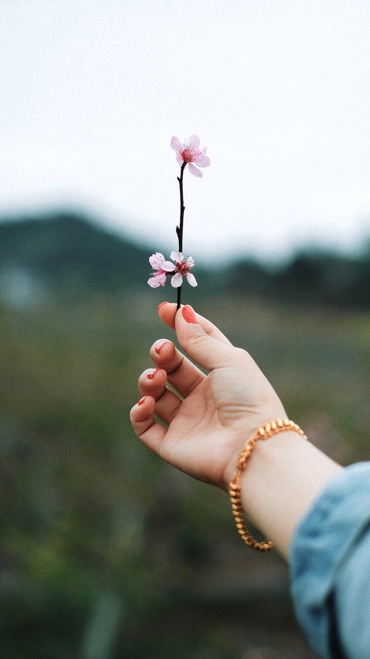 pinky flower