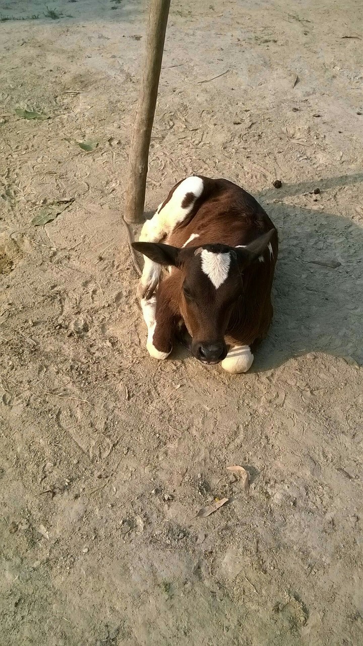 so cute