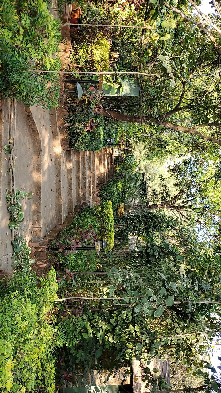 NATURE BEAUTY