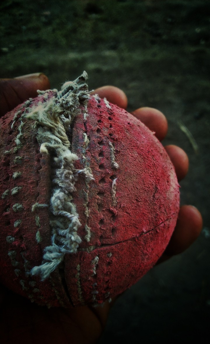 cricket