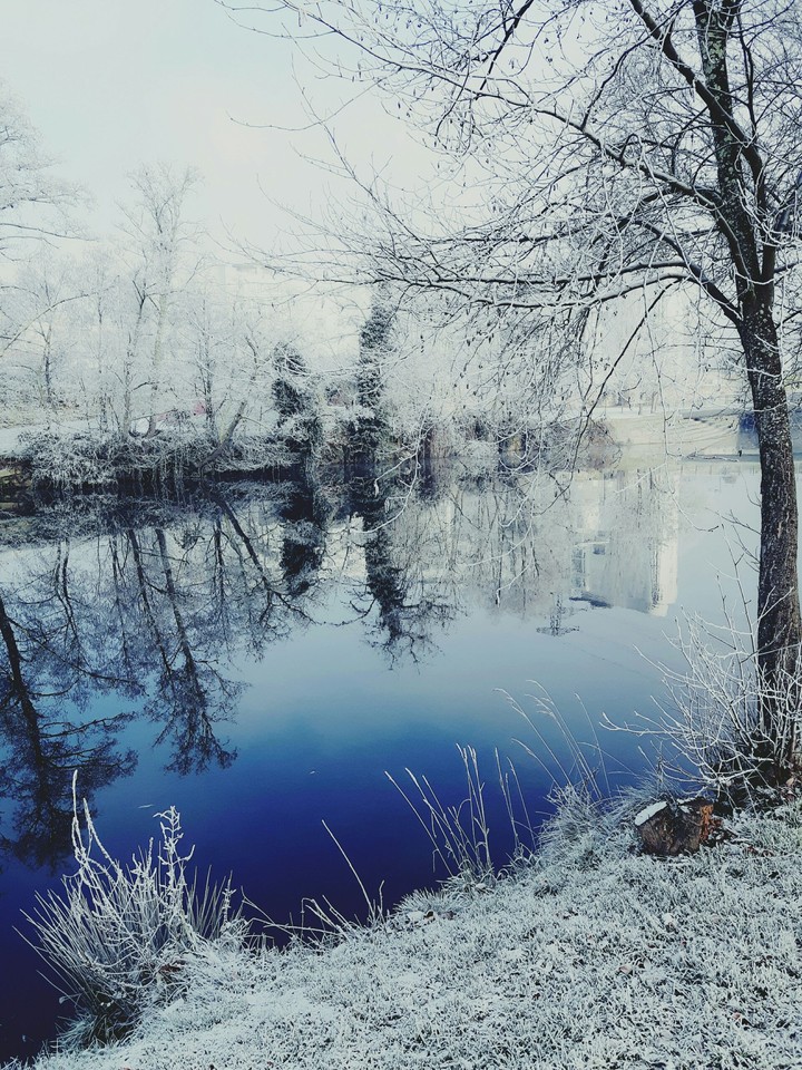 Frozen day