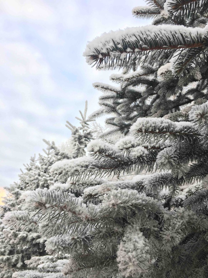 winter