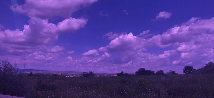 Purple sky