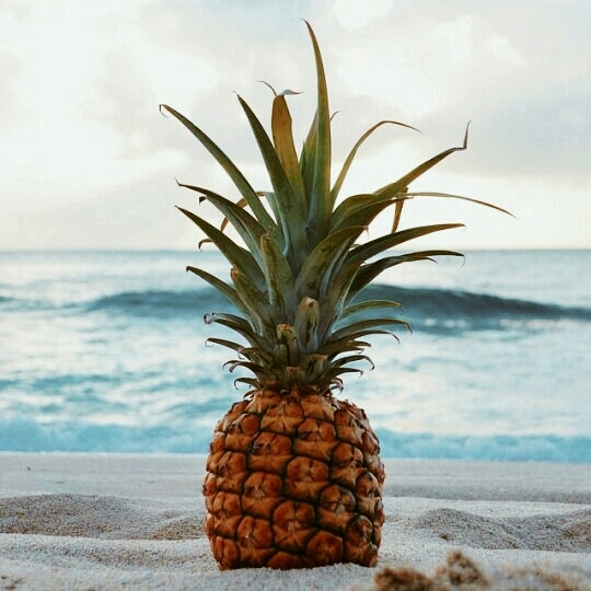 Pineapple