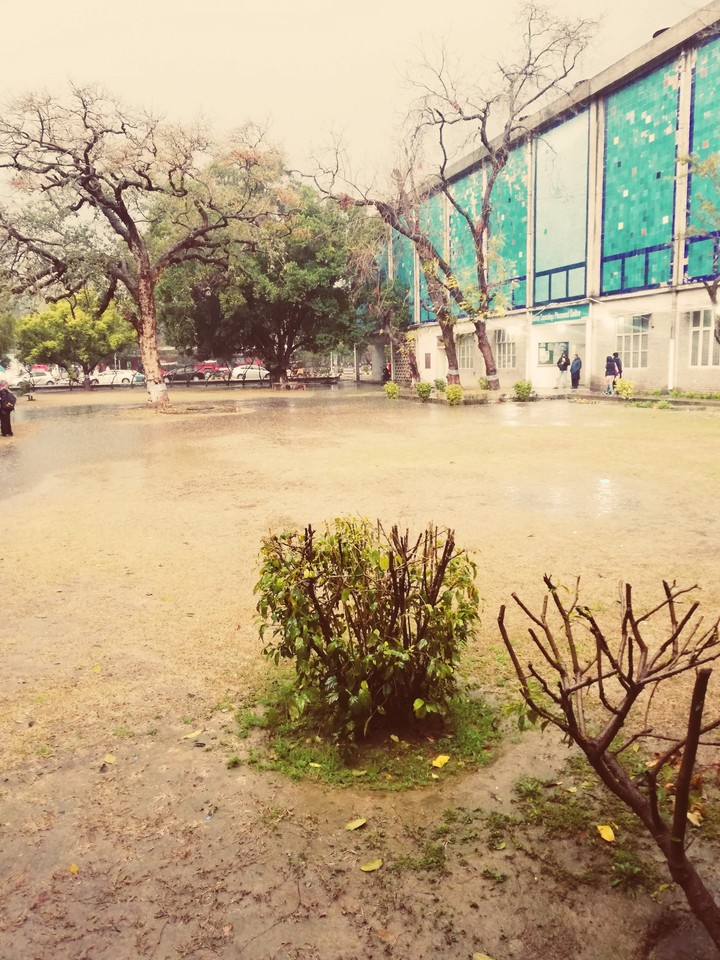 Rainy Day