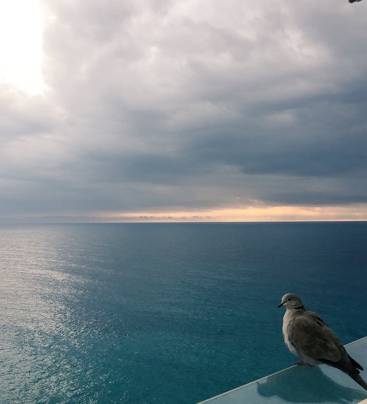 sun set view