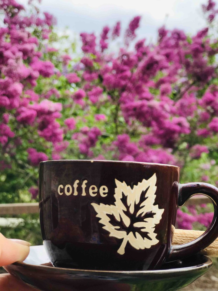 coffee