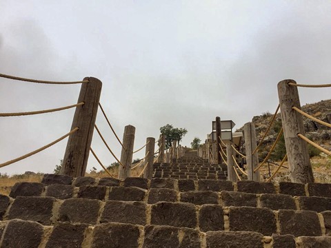 ladder
