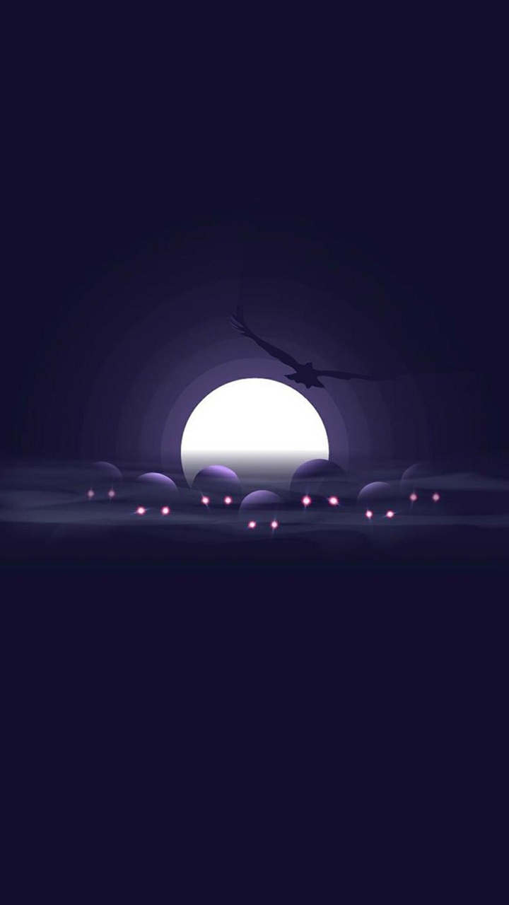 Minimalist Night