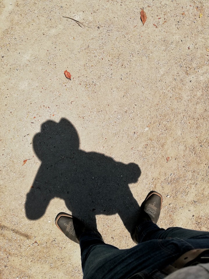 sombra!