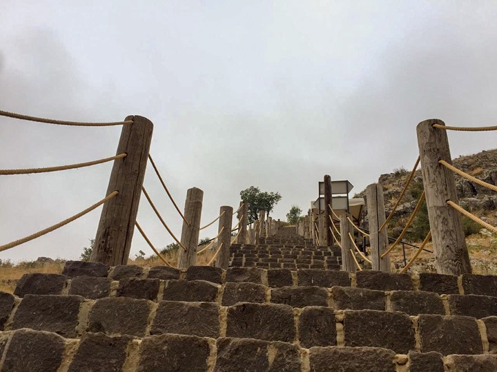ladder